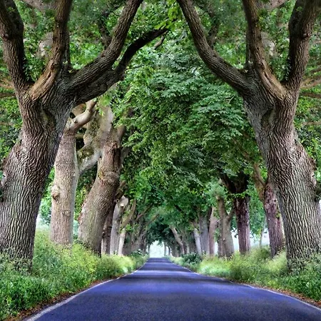 캡슐호텔 & Steakhouse Am Schlosspark 푸트버스